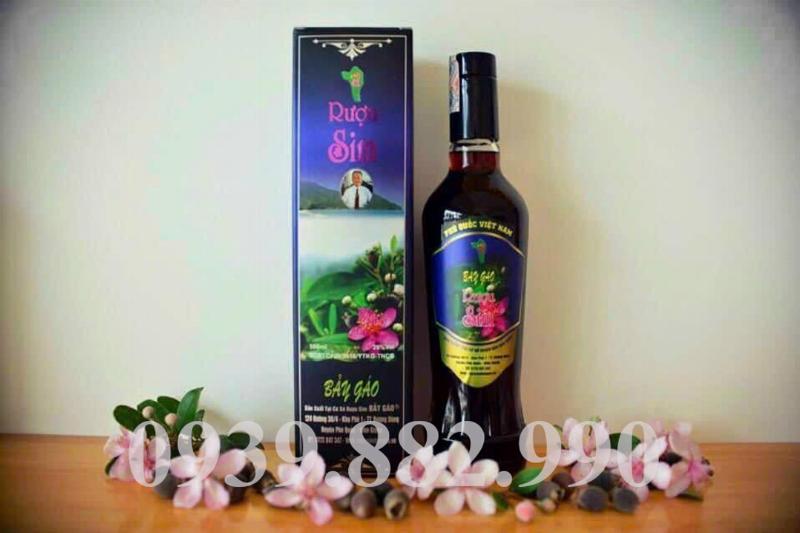 Cây sim rừng Phú Quốc với những chùm quả tím mọng đặc trưng, nguồn gốc của rượu sim Phú Quốc